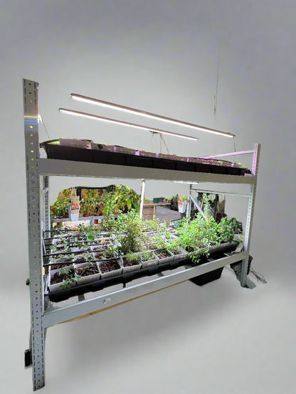 system 100 cm * 200 cm * 200 cm سستتم ١٠٠ * ٢٠٠ * ٢٠٠ سم دورين نظام زراعة مائية hydroponic system