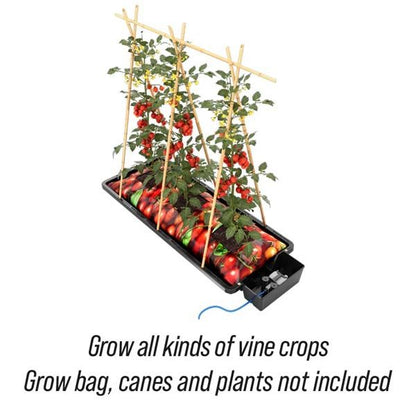 AUTOPOT - TRAY2GROW