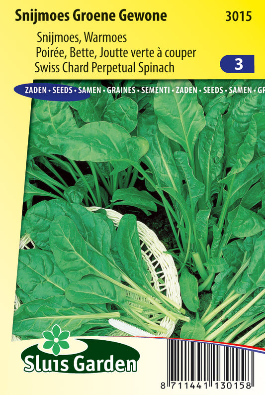 Chard Perpetual Spinach