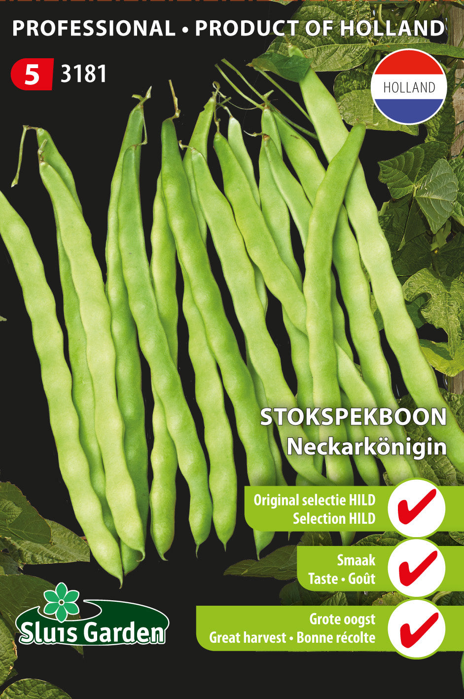 Climbing French bean Neckarkonigin