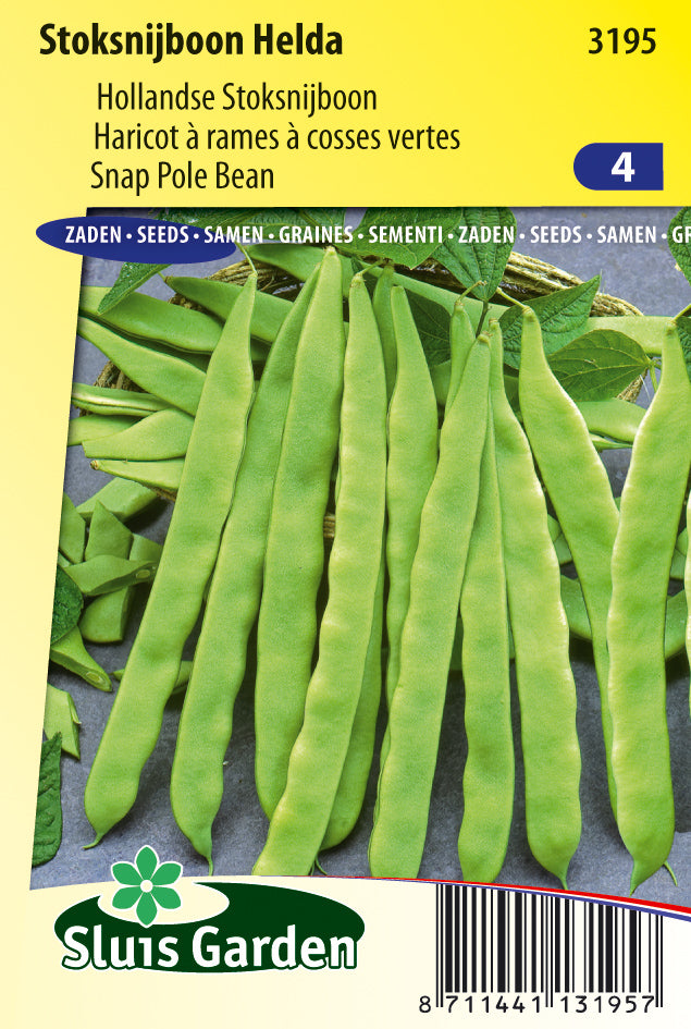 Climbing french Bean Helda