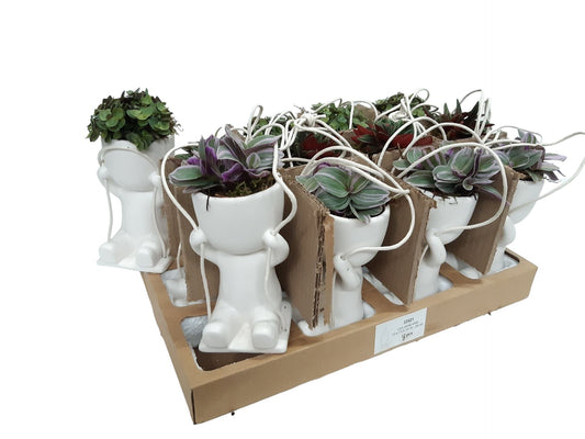 حوض نبات معلق داخلي