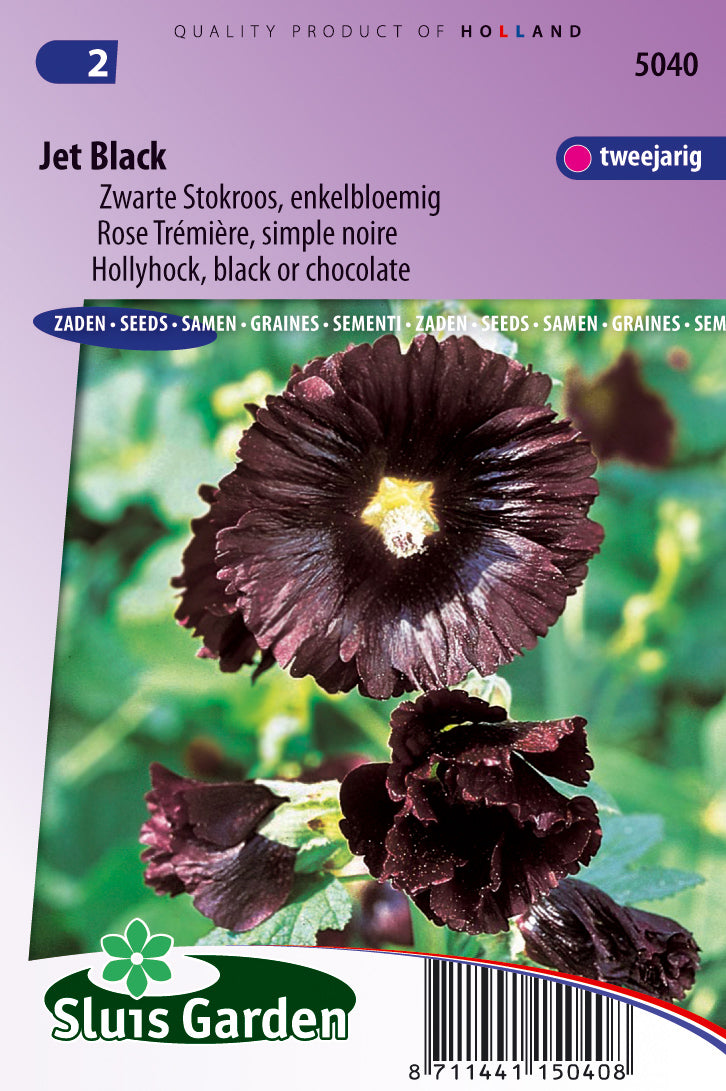 Alcea Rosea Nigra Jet Black