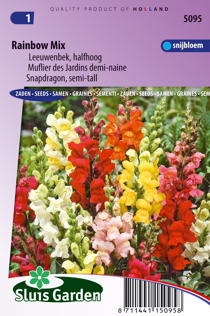 Anitirrhinum majus nanum Rainbow mix