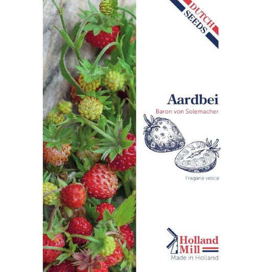 Holland Mill Alpine Strawberries Baron von Solemacher