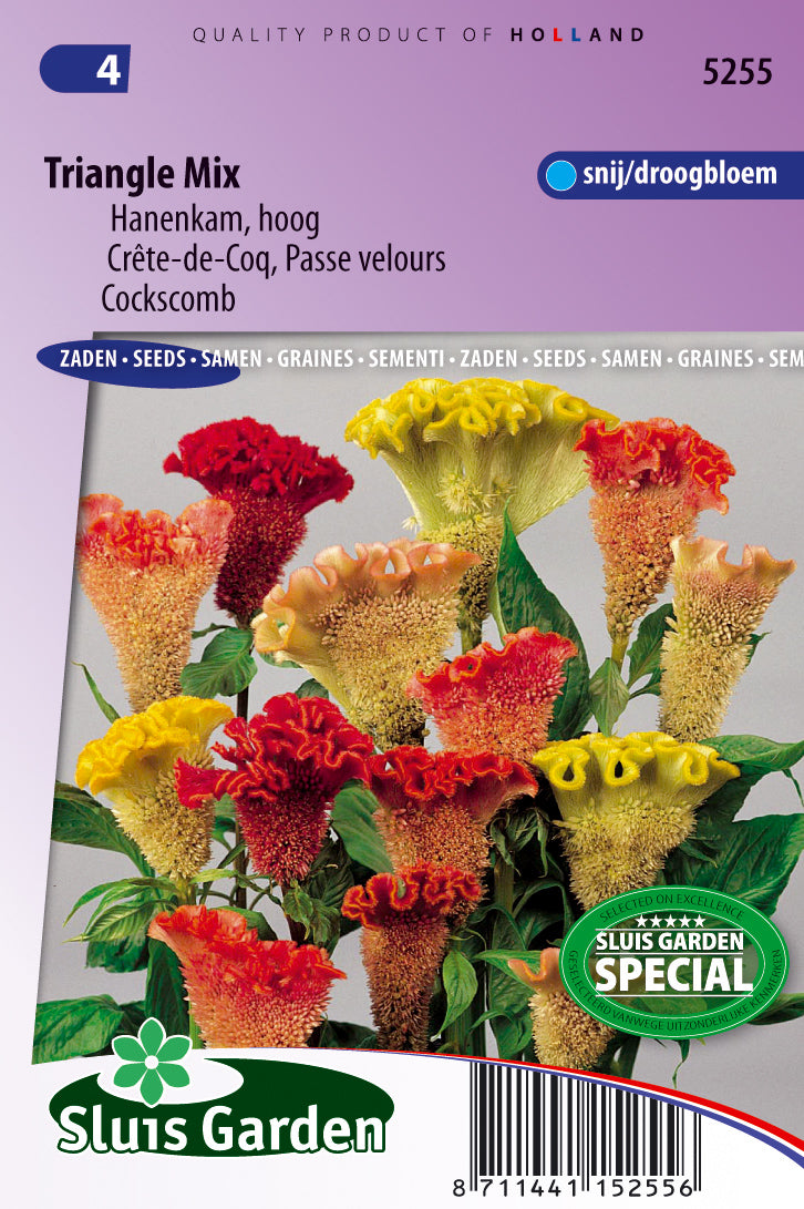 Celosia argentea cristata Triangle Mix