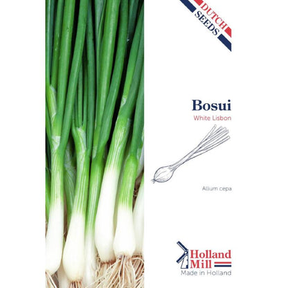 Holland Mill Onion -Bunching White Lisbon