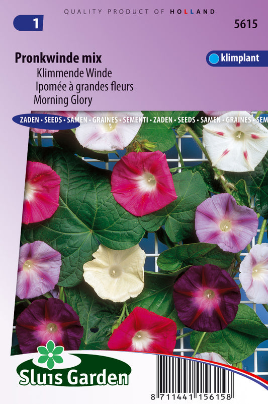 Ipomoea purpurea Choice Mixed