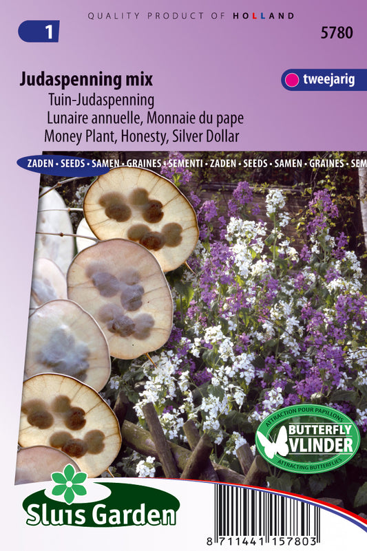 Lunaria biennis annua choice Mixed