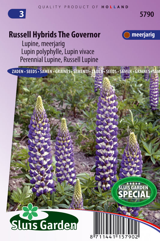 Lupinus polyp. Russel H. The Governer