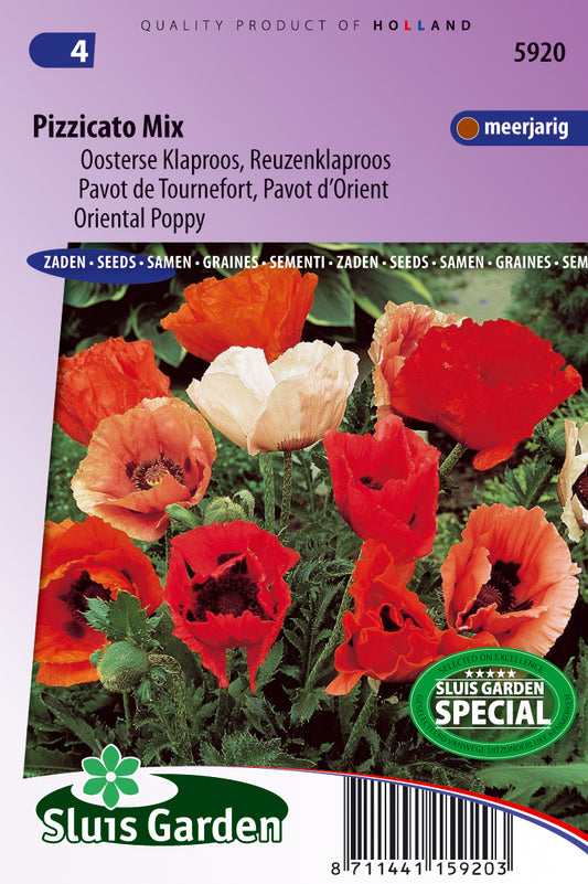 Papaver orientale Pizzicato Gemengd