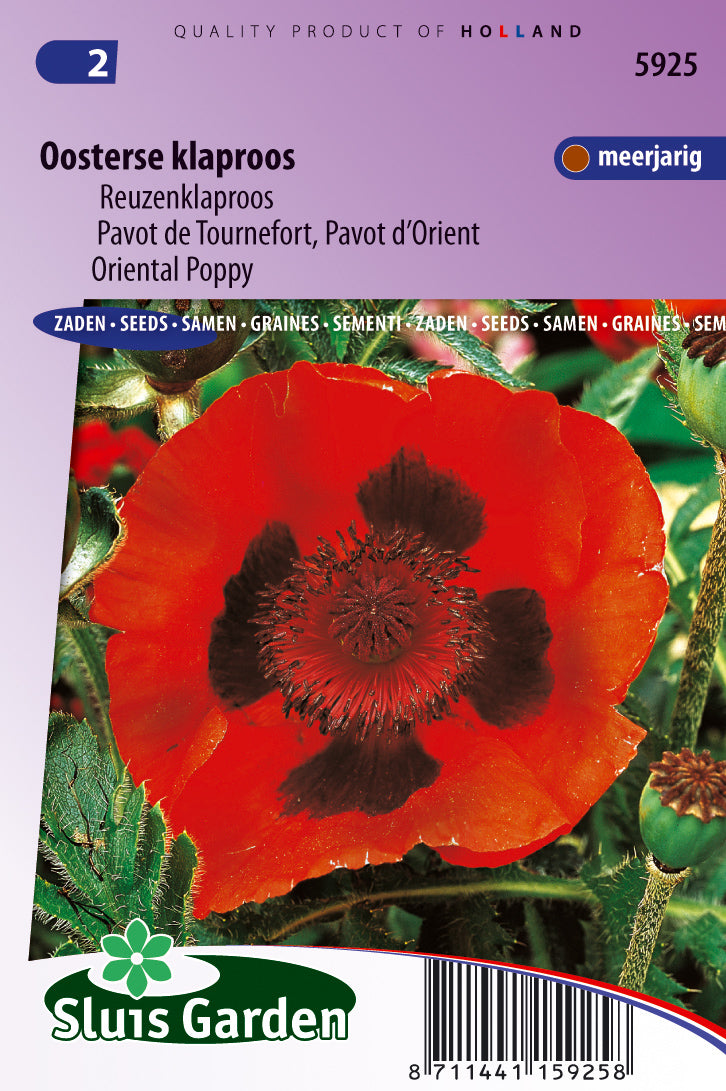 Papaver orientale Scarlet Poppy