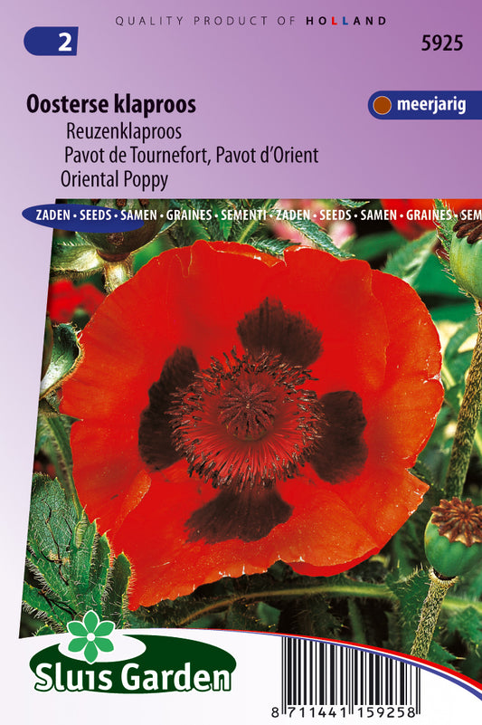 Papaver orientale Scarlet Poppy