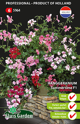 Ivy-leaved Geranium F1 Summertime mix