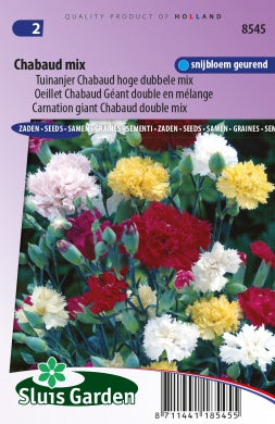 Carnation Chabaud giant double mix
