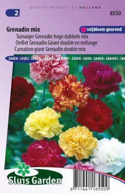 Carnation Grenadin giant double mix