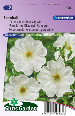 Petunia n. compacta Snowball