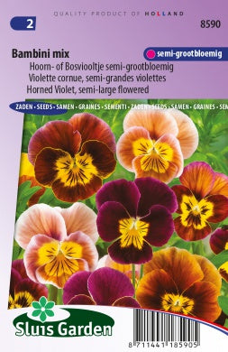 Horned Violet Bambini mix