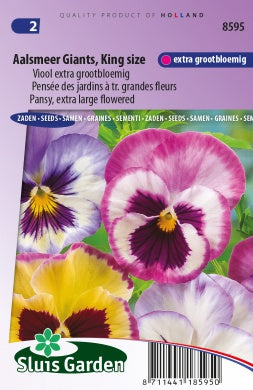 Pansy Aalsmeer Giants King size mix