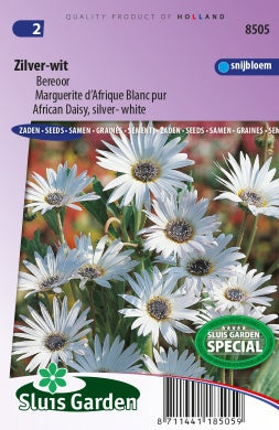 zilver-wit " African daisy, silver-white"