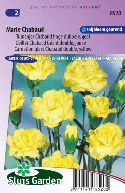 Marie Chabaud "carnation giant Chabaud double, yellow"