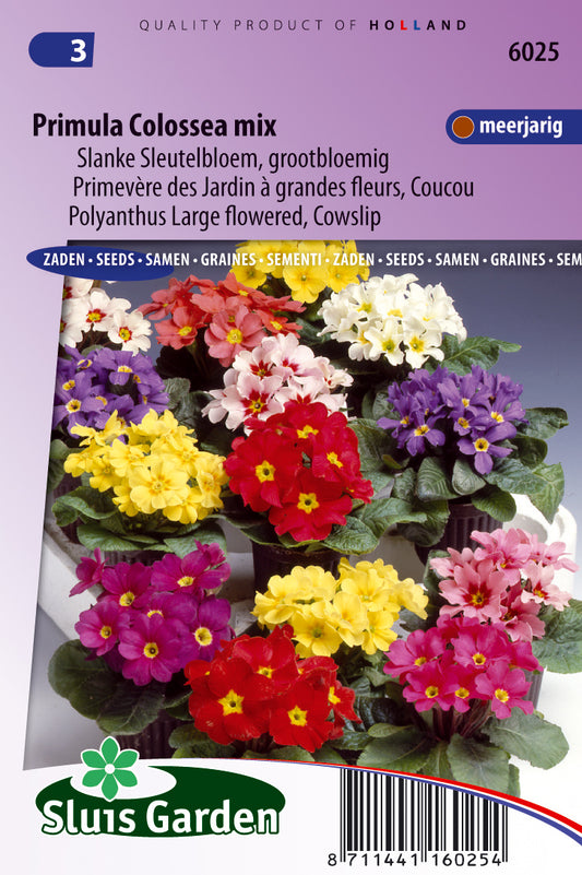 Primula veris eliator Kolossen Mixed