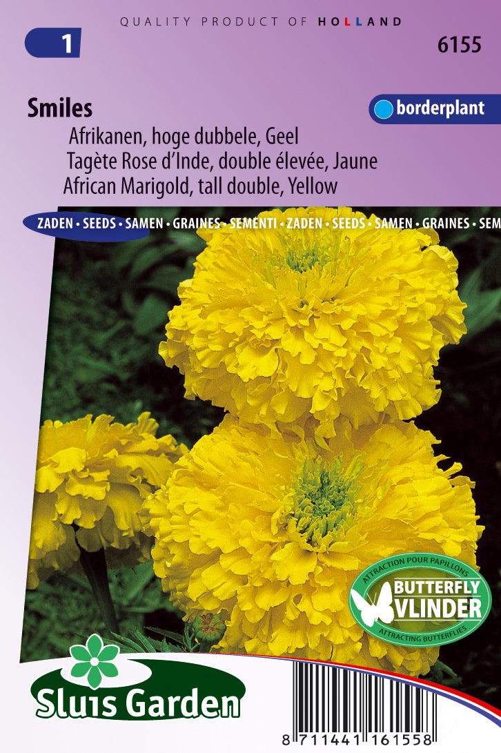 Tagetes erecta tall dbl Smiles Yellow