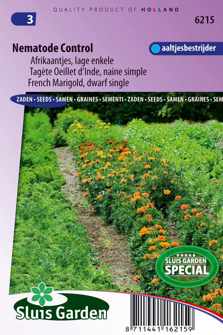 Tagetes patula Nematode control