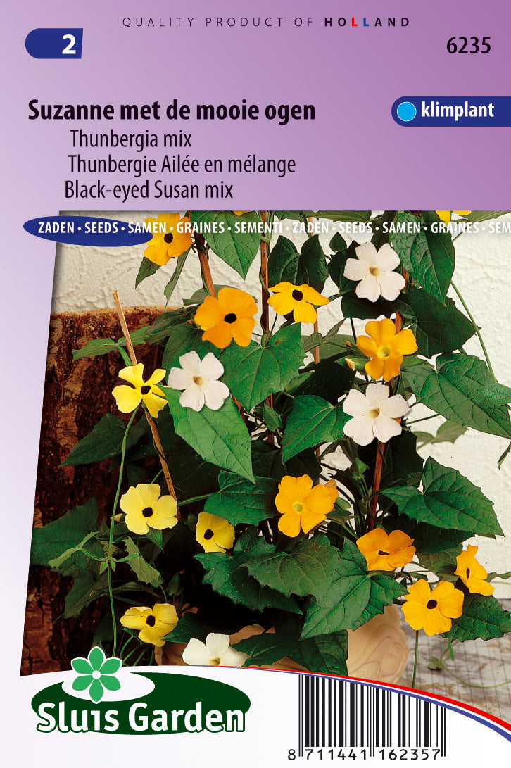 Thunbergia alata Mixed