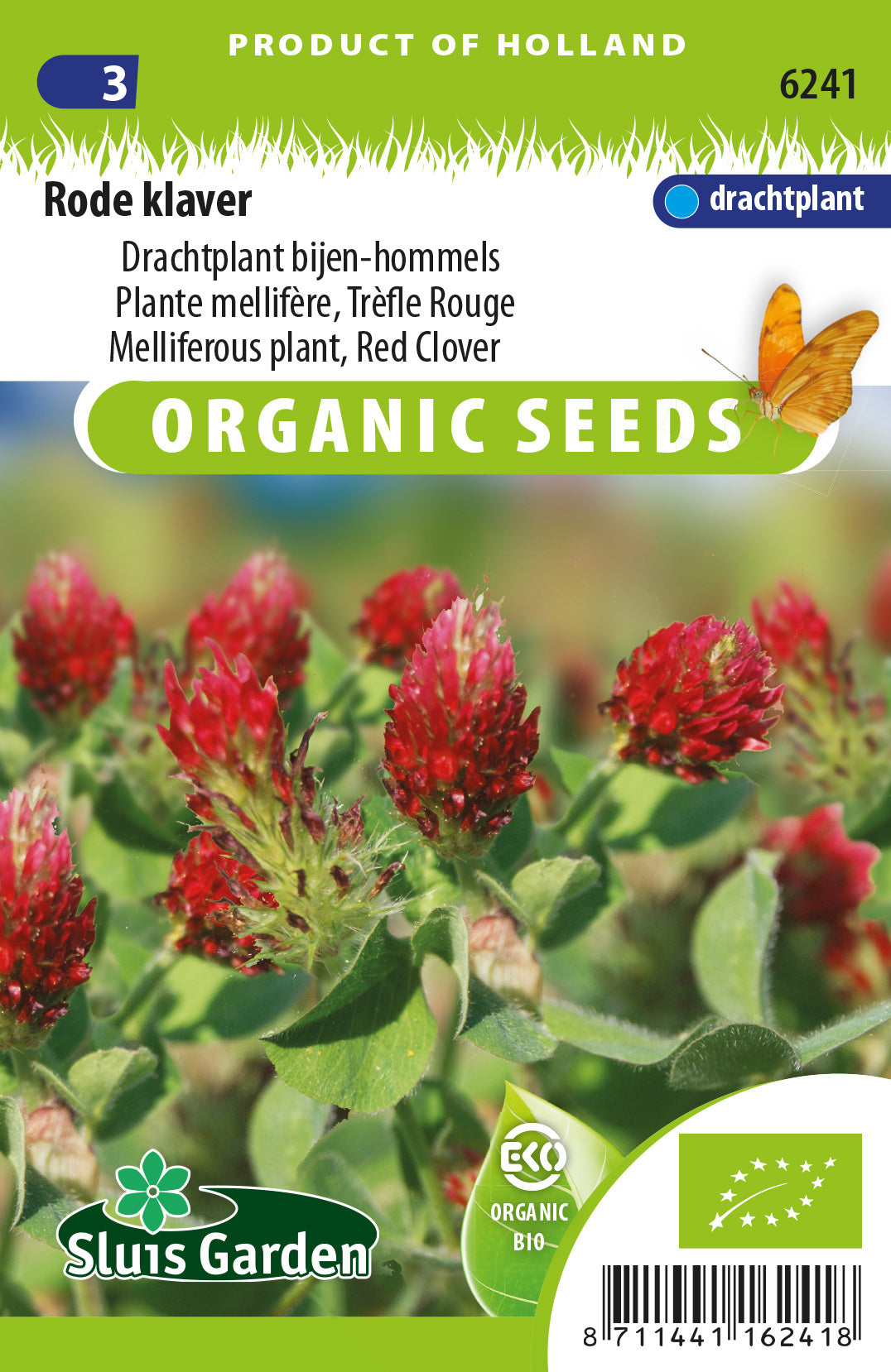 Crimson Clover Trifolium incarnatum BIO