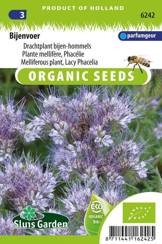 Phacelia tanacetifolia BIO