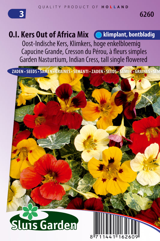 Garden Nasturtium tall flowerd single mix organic