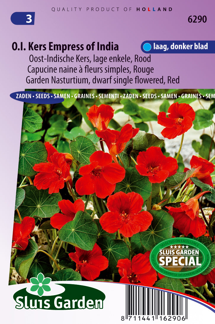 Tropaeolum m.n. Sgl. of India Red