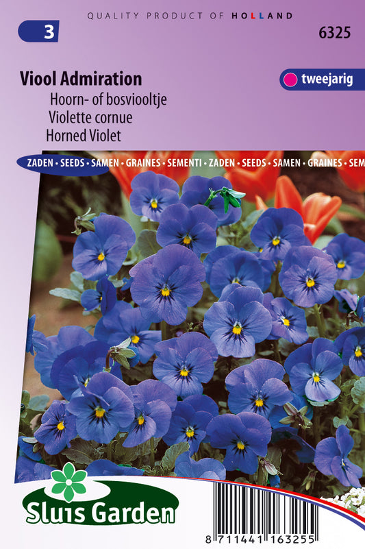 Viola cornuta Hybr. Admiration