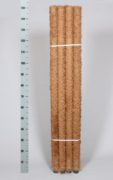 Bijsteker mosstick mosstick loose 150cm 12 per bundel