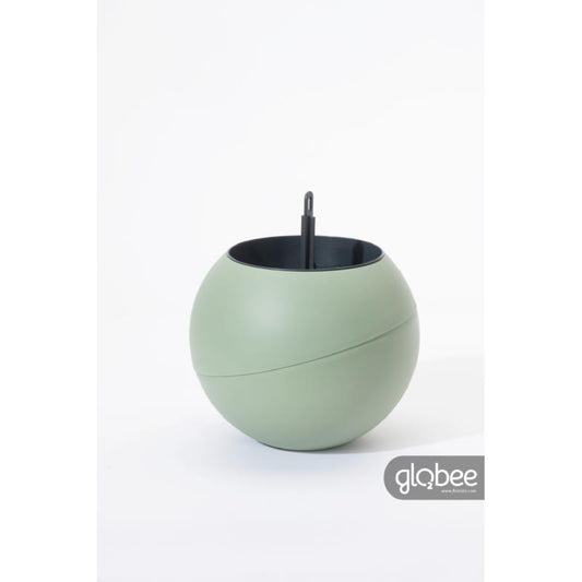 Globee in box Olive حوض معلق