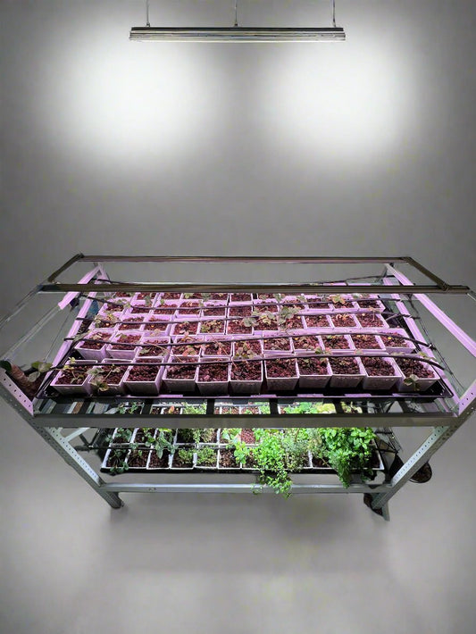 system 100 cm * 200 cm * 200 cm سستتم ١٠٠ * ٢٠٠ * ٢٠٠ سم دورين نظام زراعة مائية hydroponic system