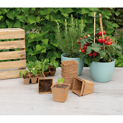 SOGO Biodegradable pots square 8cm 10pcs