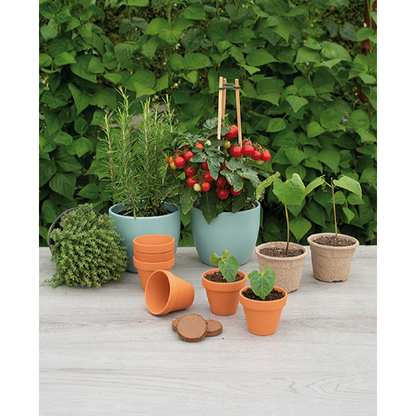 SOGO Terracotta Garden Pot 7/8cm 7x