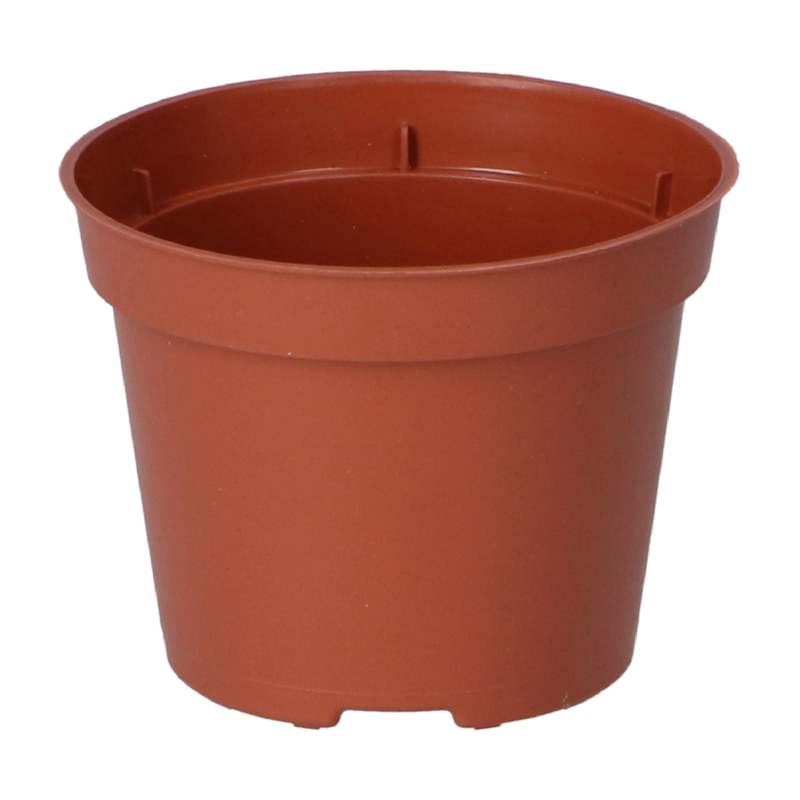 SOGO Plastic Plant Pot 6cm 30pcs.