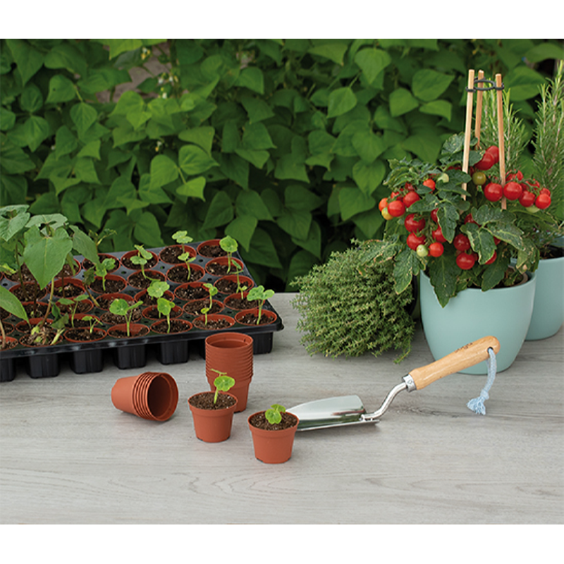 SOGO Plastic Plant Pot 6cm 30pcs.