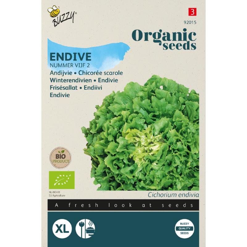 Buzzy® Organic Endive scarole, Nummer Vijf 2 (BIO)