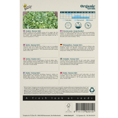 Buzzy® Organic Endive scarole, Nummer Vijf 2 (BIO)