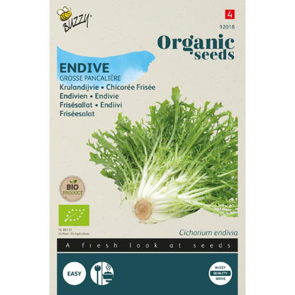 Buzzy® Organic Endive Grosse Pancalière(BIO)