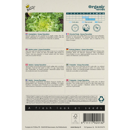 Buzzy® Organic Endive Grosse Pancalière(BIO)