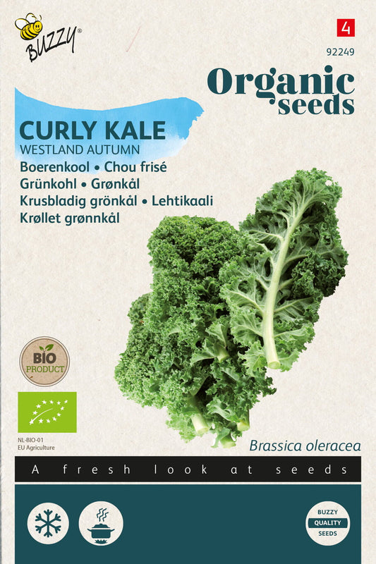 Buzzy® Organic Curly Kale Westland Herfst(BIO)