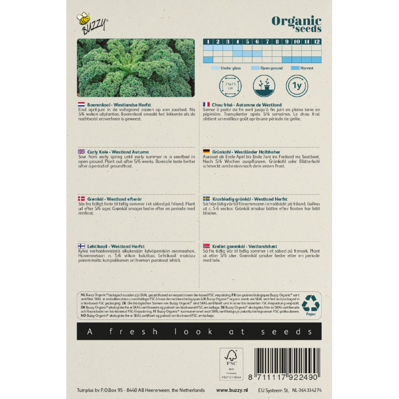 Buzzy® Organic Curly Kale Westland Herfst(BIO)