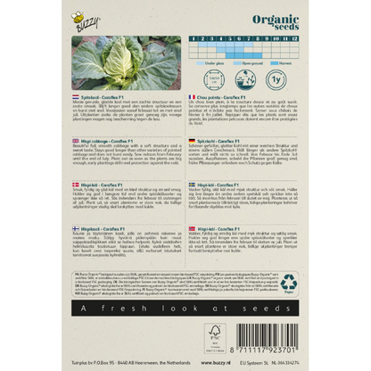 Buzzy® Organic Pointe white cabbage Caraflex F1 (BIO)