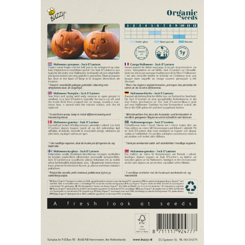 Buzzy® Organic Pumpkin Jack O' Lantern (BIO)