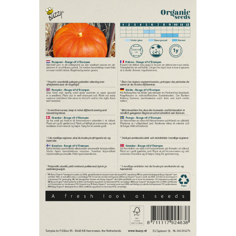 Buzzy® Organic Pumpkin Rouge vif d'Etampes(BIO)